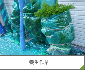 養生作業